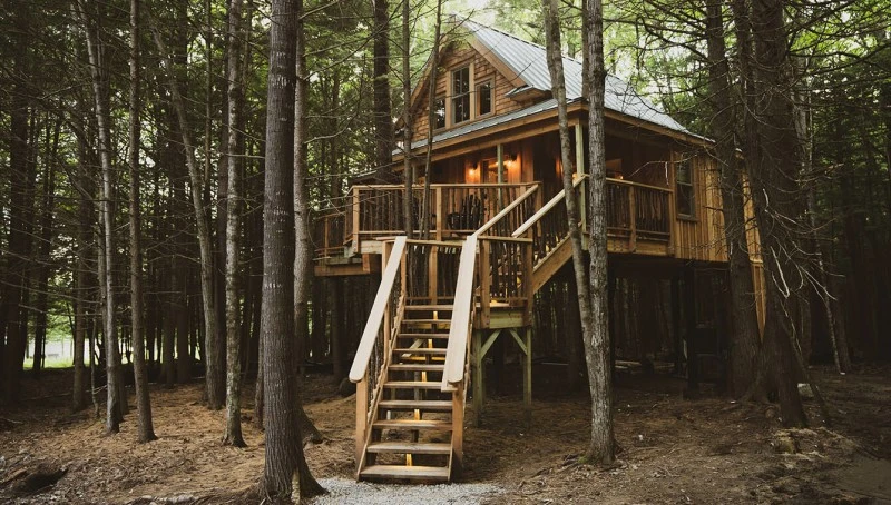 Glamping en la naturaleza: dormir en un árbol