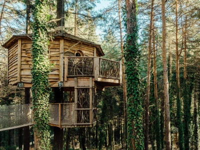 Mejores cabinas en el bosque para desconectar