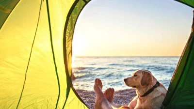 Camping en la playa: disfruta al máximo