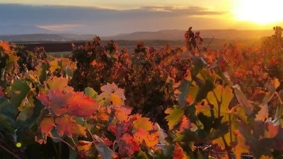 La Rioja: Vinos y paisajes hermosos