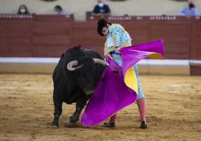 Plaza de toros de Madrid: Tradición y pasión taurina