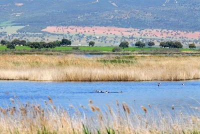 Parque Nacional Tablas de Daimiel: paraíso de aves