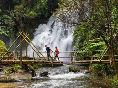 Ecoturismo: Viaja responsablemente, descubre maravillas naturales
