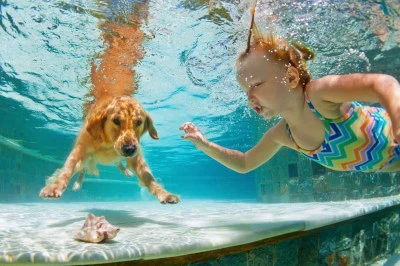 Alojamientos pet-friendly: Vacaciones con tu mascota