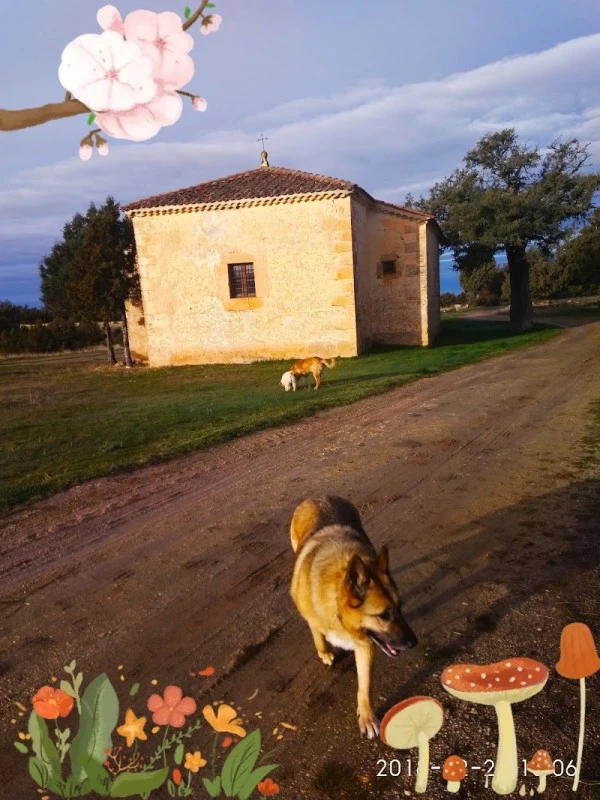 Casa Rural Mi Rinconcillo