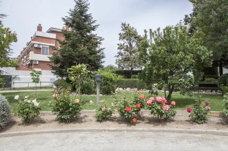 HOTEL PARK SEDÓ