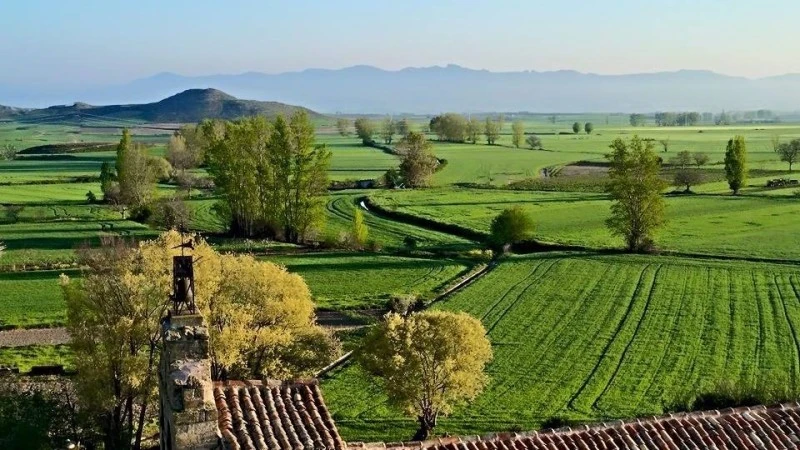 Torre Fuerte S.XIII