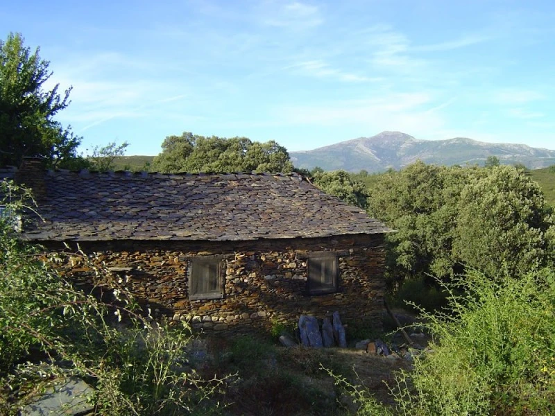 Viajando por los Pueblos Negros