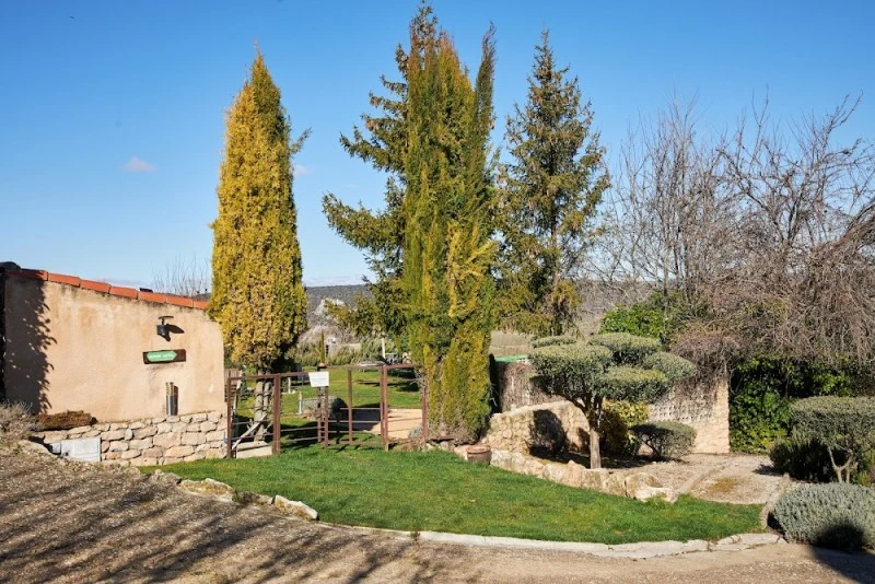 Hotel y Restaurante Cardamomo Sigüenza