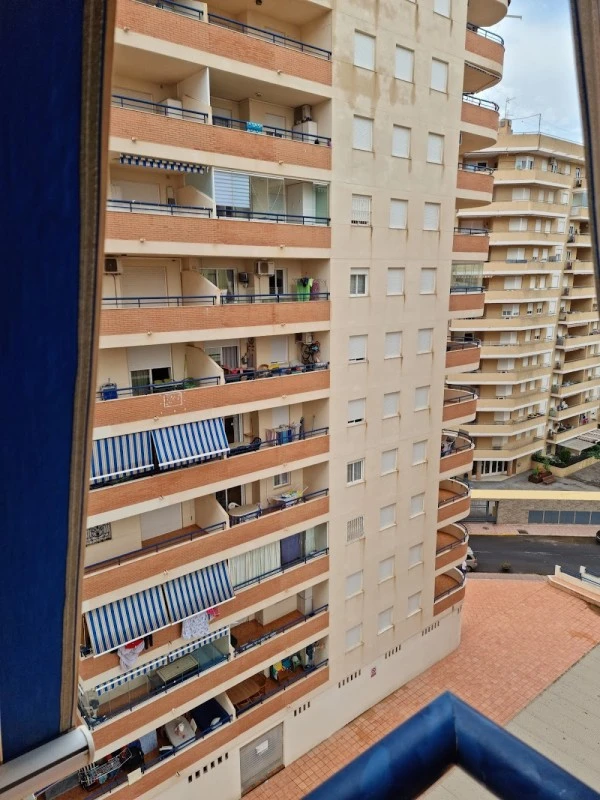 Apartamentos Bonaire 3000