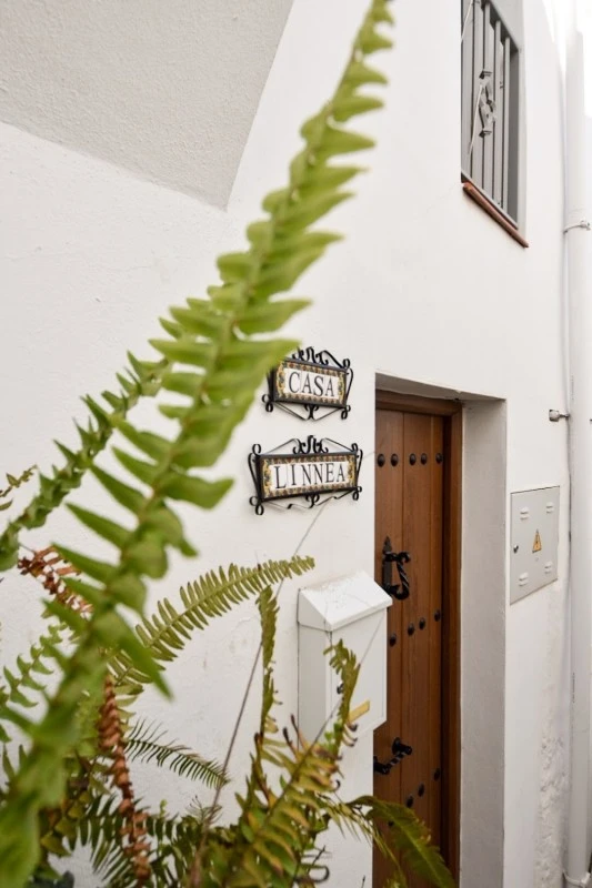 Casa Linnea