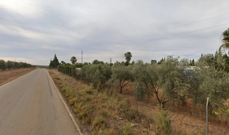 Ajoporro