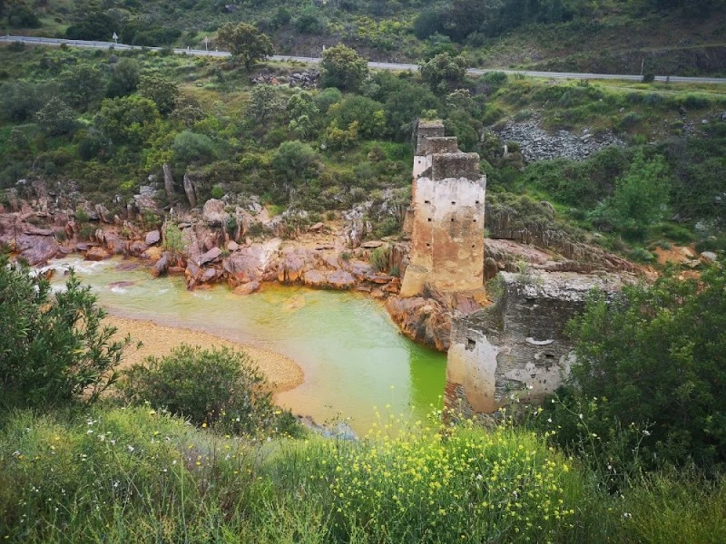 Alamillo Rural