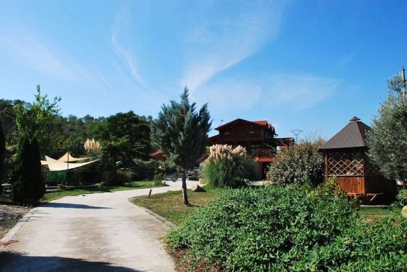 Alojamiento Turístico Casa Telma