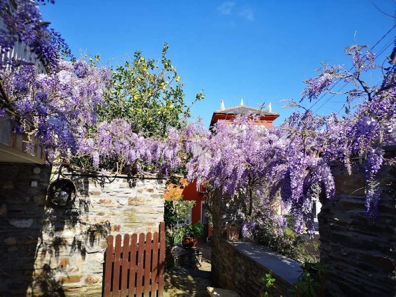 Apartamento Amieiro
