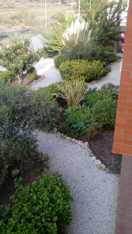 Apartamento en Riosol