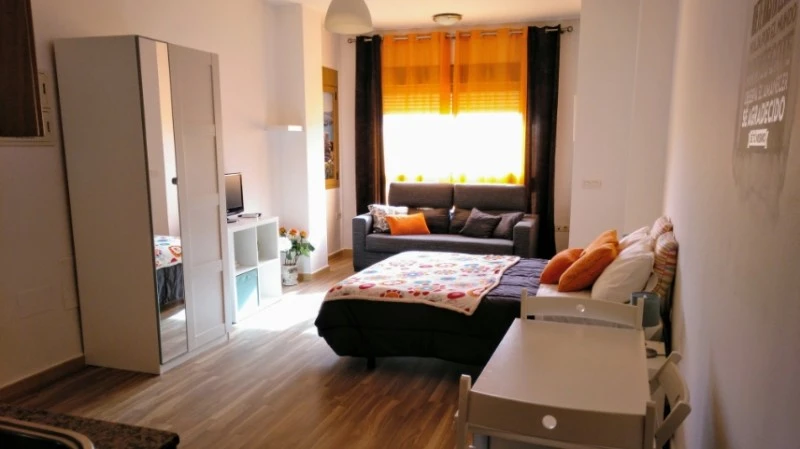 Apartamento Malaga Domingo Lozano