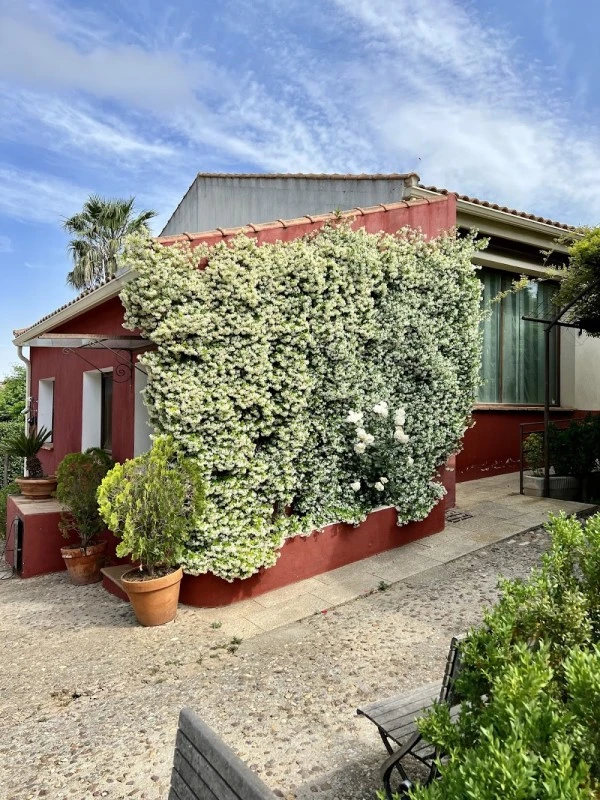 La Almazara De Valdeverdeja