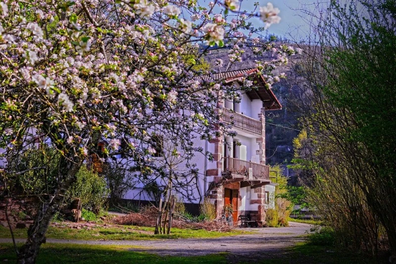 Apartamento Turístico Uartea