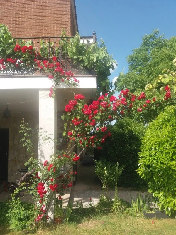 Apartamentos el Nogal