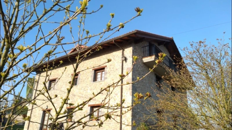 Apartamentos Toraya