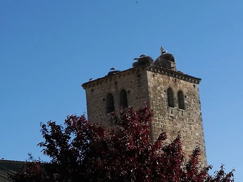 Apartamentos Turistico