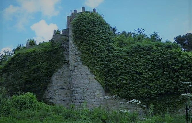 Castillo de Villalba de Losa