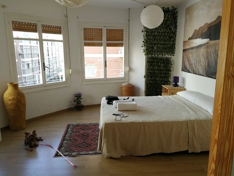 Apartments Inside Center Alicante