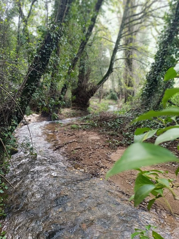 Aracena Rural Experiencias