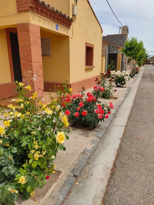 Área de La Cartuja de Monegros