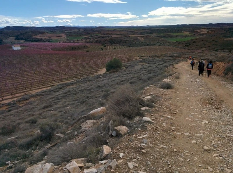 Barranco de Las Balas