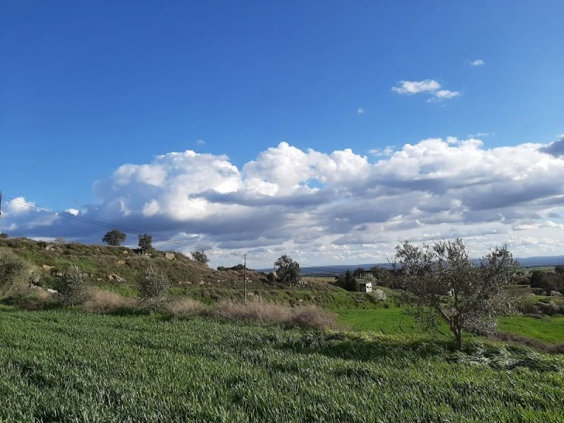 Cal Treso