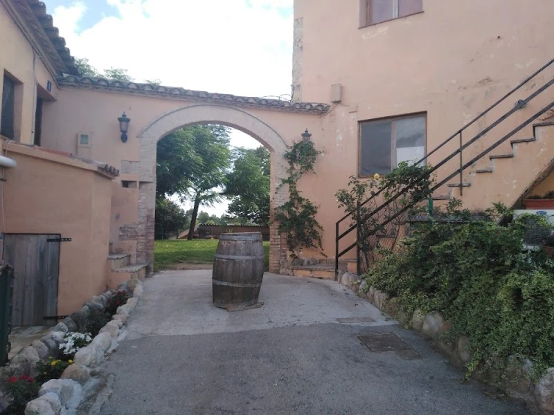 Can Valls