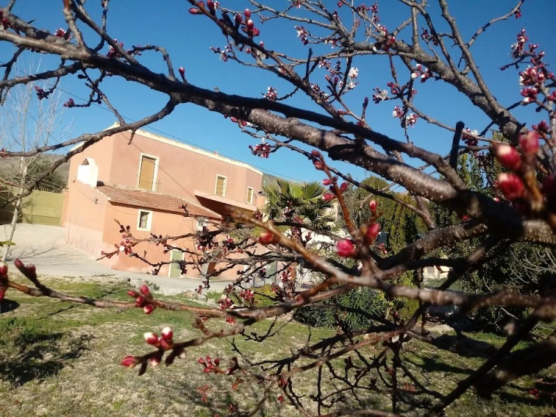 Casa Paraje de Las Fuentes