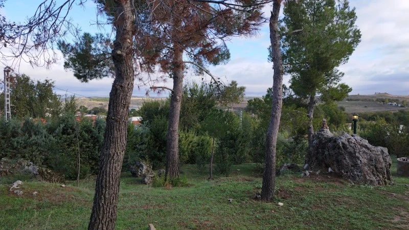 Casa Piedra La Zorra