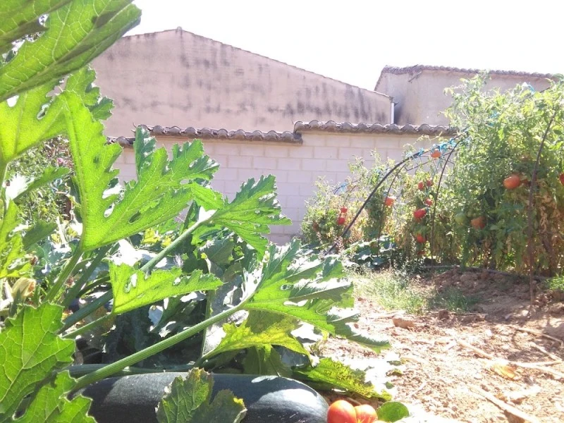 Casa Rural del Priorato