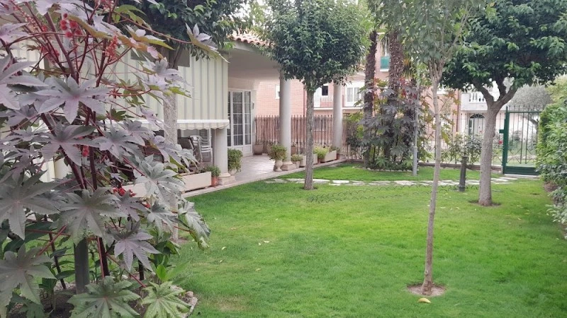 Casa rural el Olivo