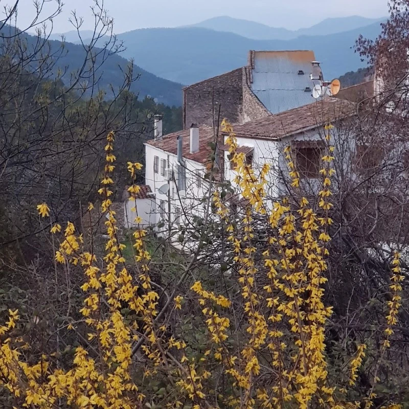Casa Rural La Hueta