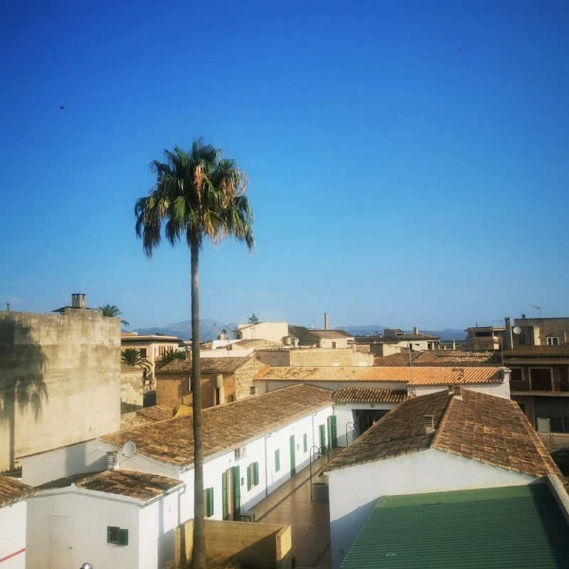 CASA SAUER