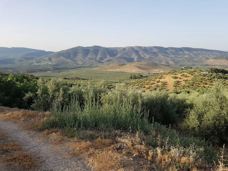 Casería Monte Infante