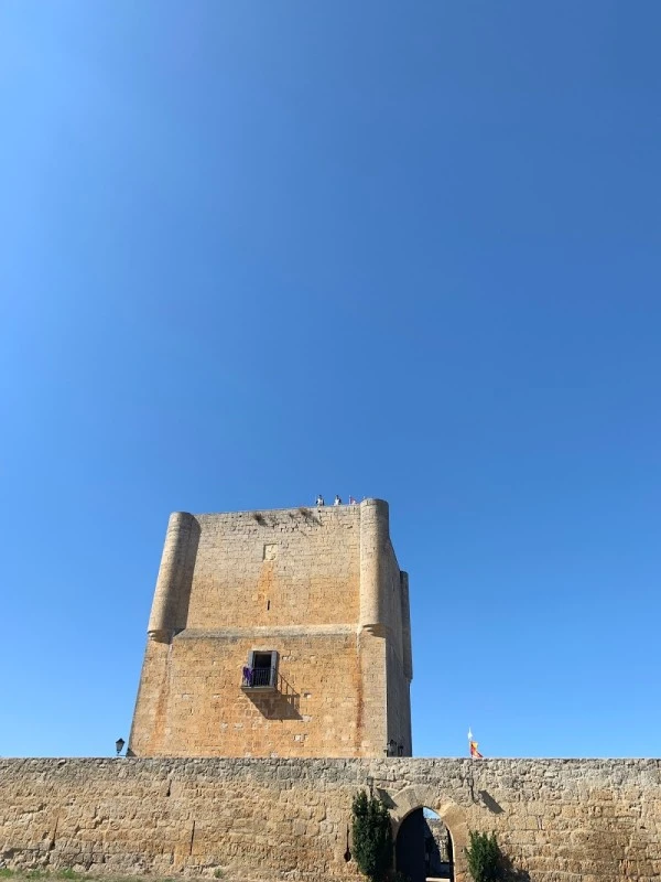 Castillo de Las Cabañas de Castilla