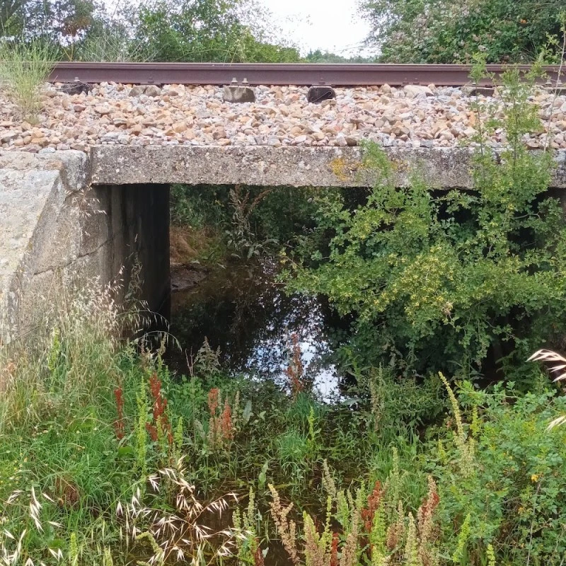 Corrales Del Vino