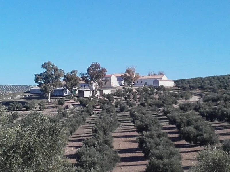 Cortijo de Marciáñez