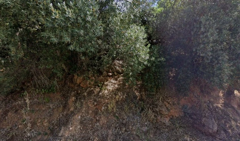 Cortijo El Nolo