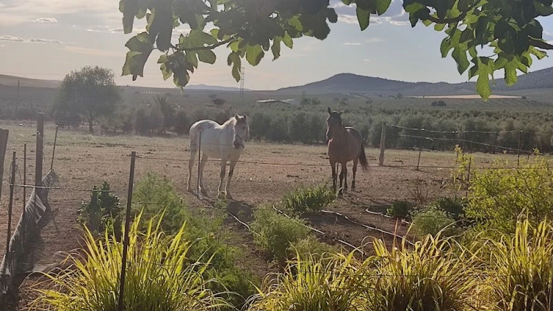 Cortijo Ferradores I II y III y El Pajar