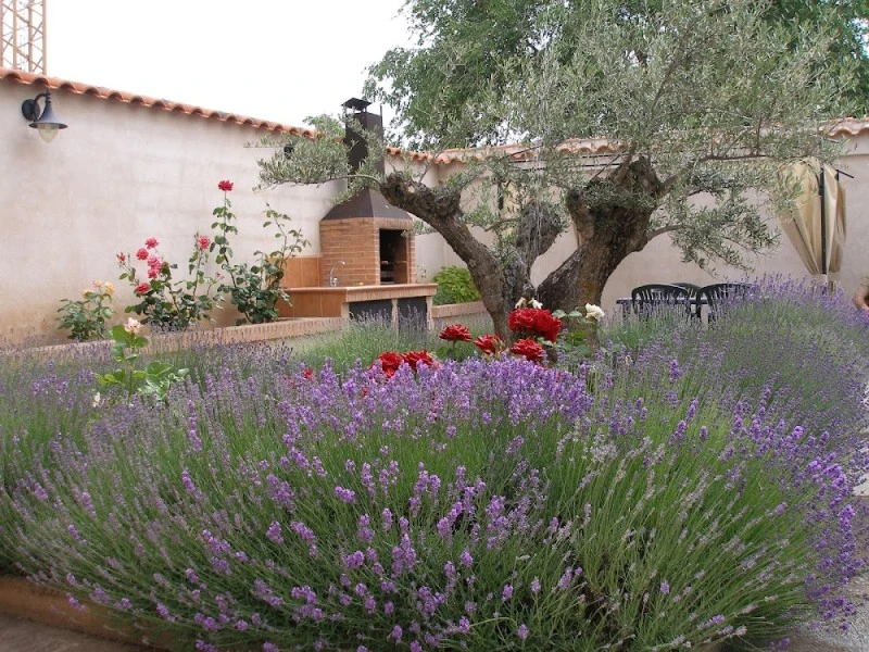 Cueva Del Refugio