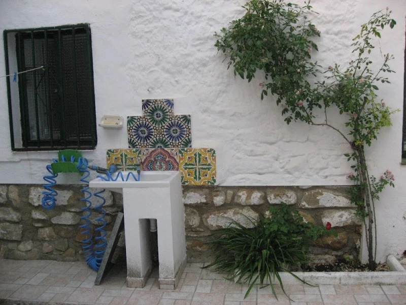 El Árbol De La Mariquita