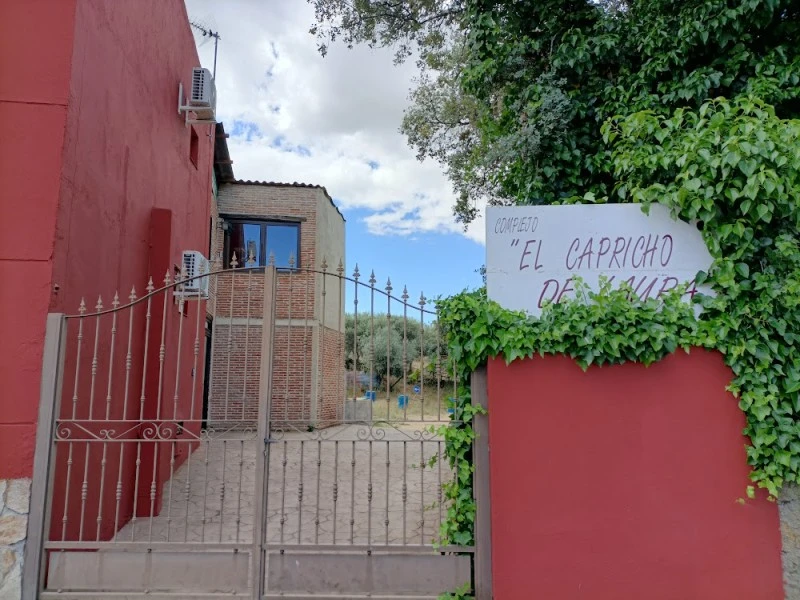 El capricho de Laura