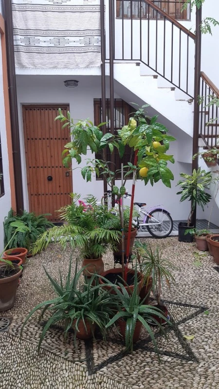 Encantador Duplex en el Casco Historico
