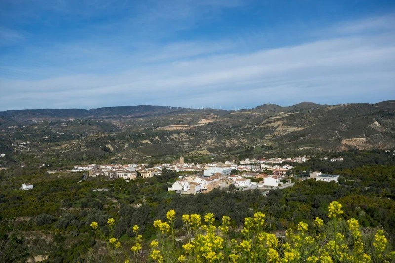 Esencia del Valle
